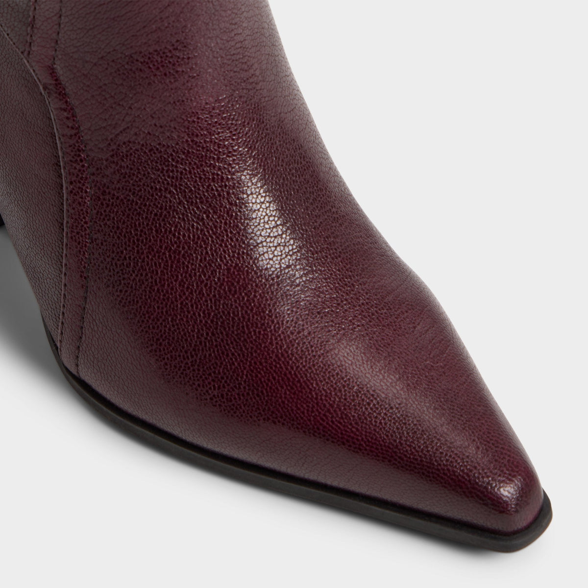 Saddle in Bordo - Knee-high boot, Block heel | Aldo