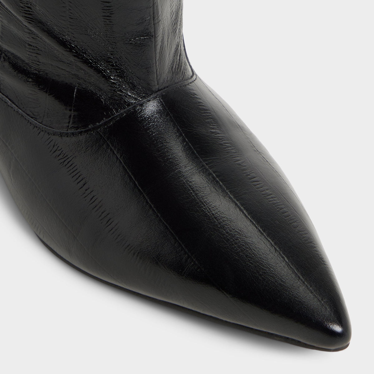Everose in Black - Knee-high boot, Kitten heel | Aldo
