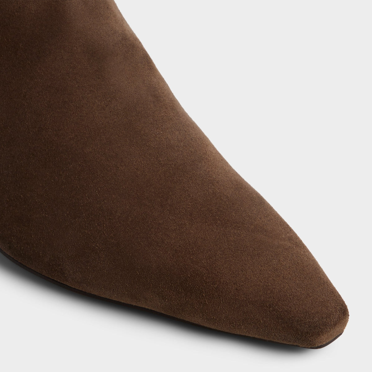 Muttsee Other Brown Women's Tall Boots - Knee-high boot, Brown | Aldo
