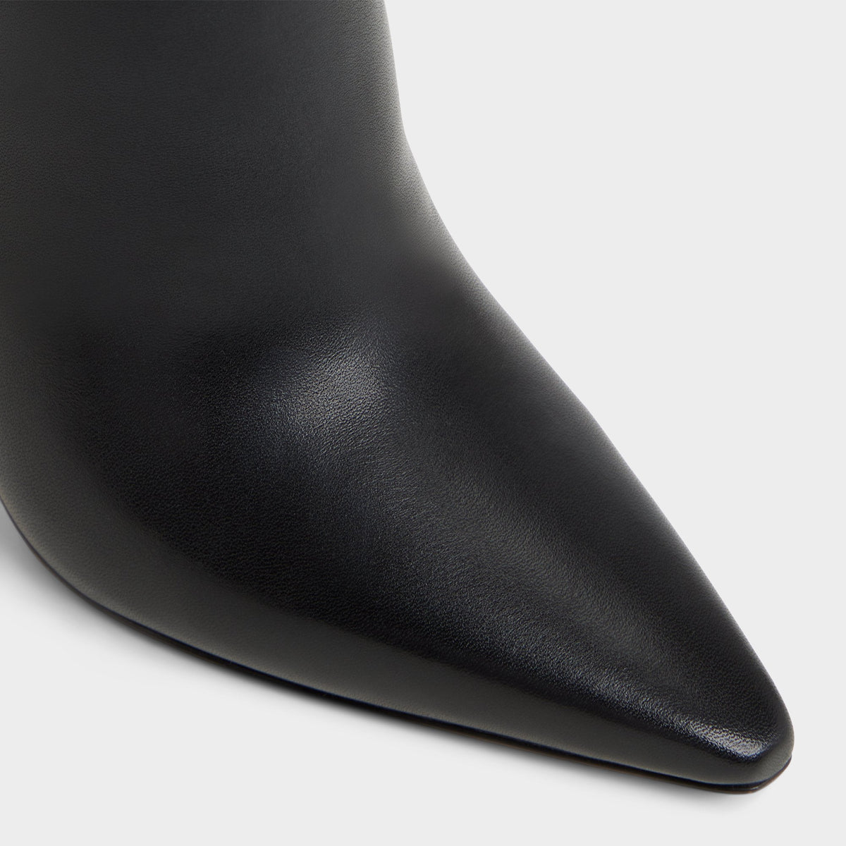 Guavaberry in Black - Ankle boot, Stiletto heel | Aldo