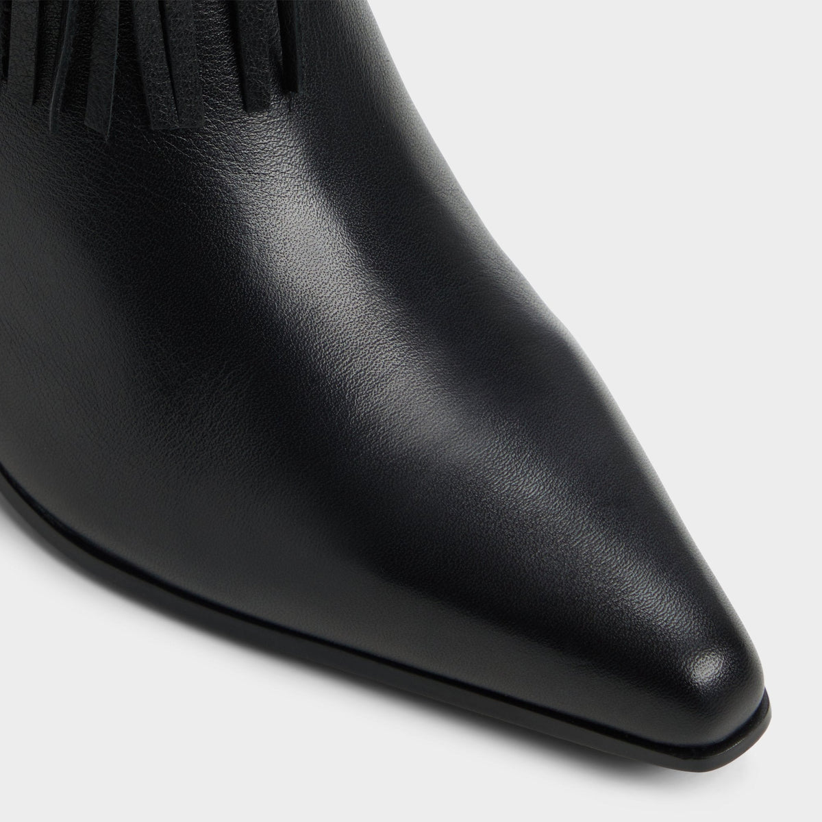 Jollene Black Women's Ankle boots - Ankle boot, Block heel | Aldo