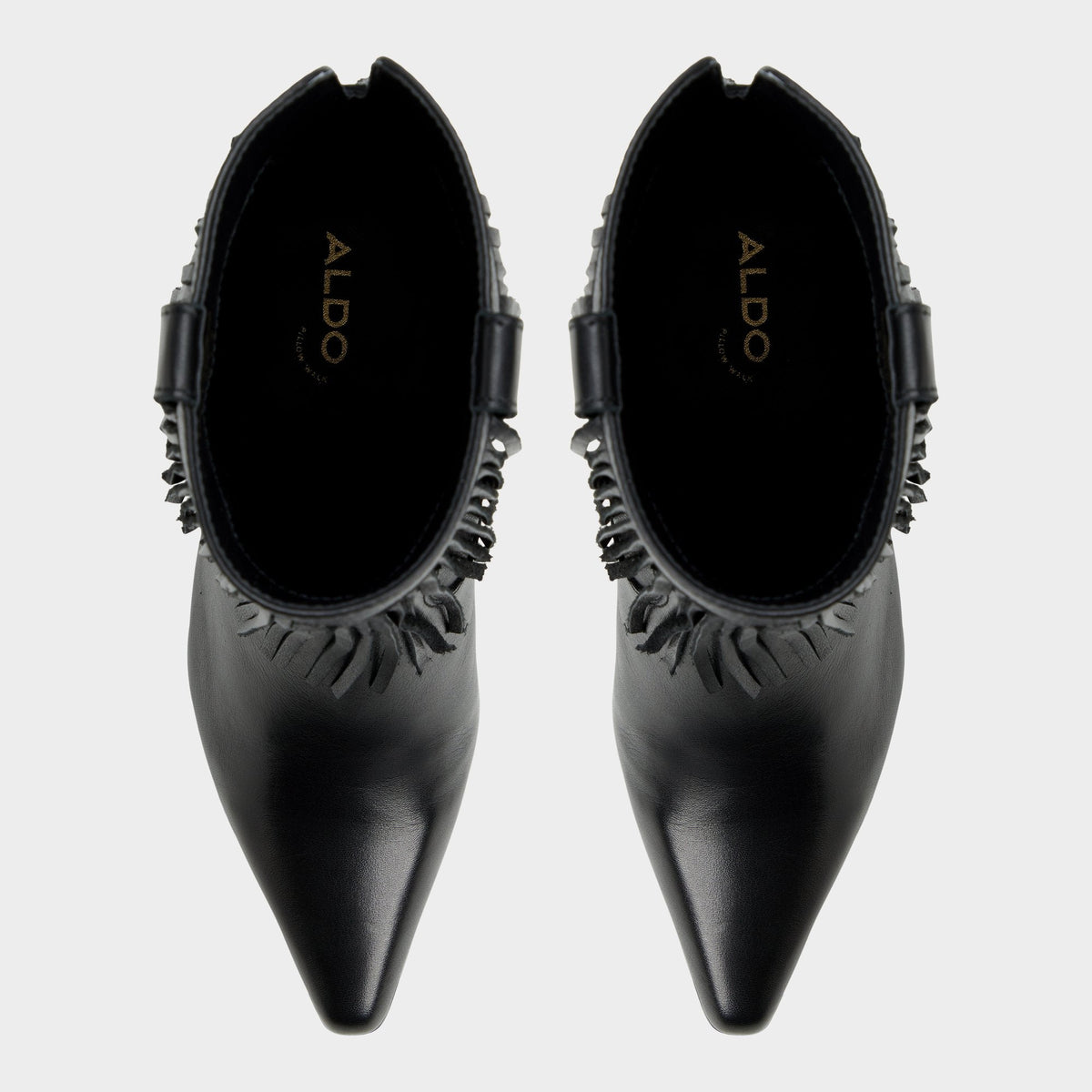 Jollene Black Women's Ankle boots - Ankle boot, Block heel | Aldo