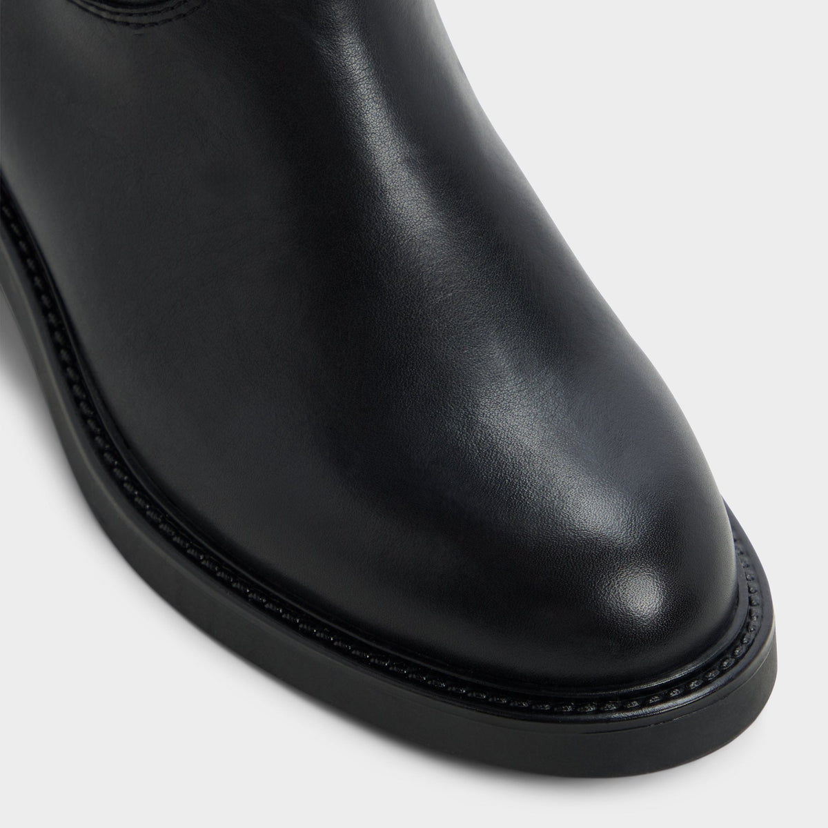 Philippa in Black - Riding boot, Block heel | Aldo