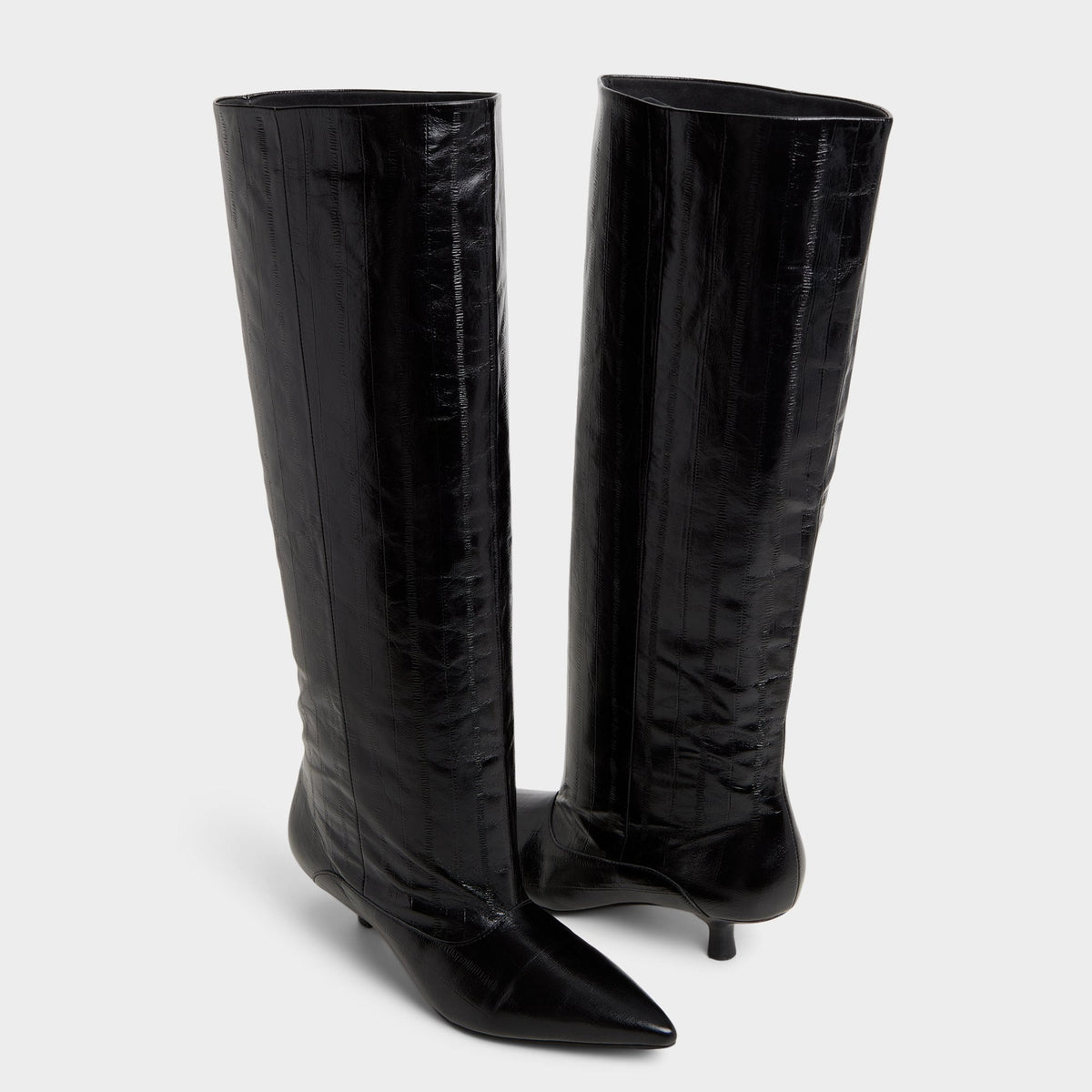 Everose in Black - Knee-high boot, Kitten heel | Aldo
