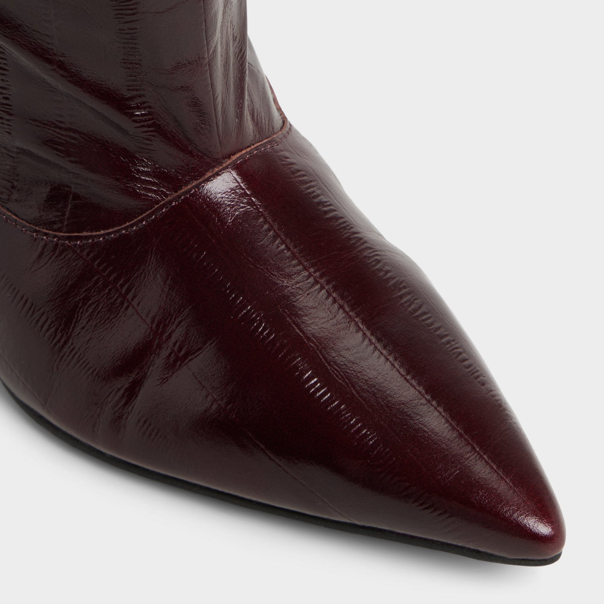 Everose in Bordo - Knee-high boot, Kitten heel | Aldo