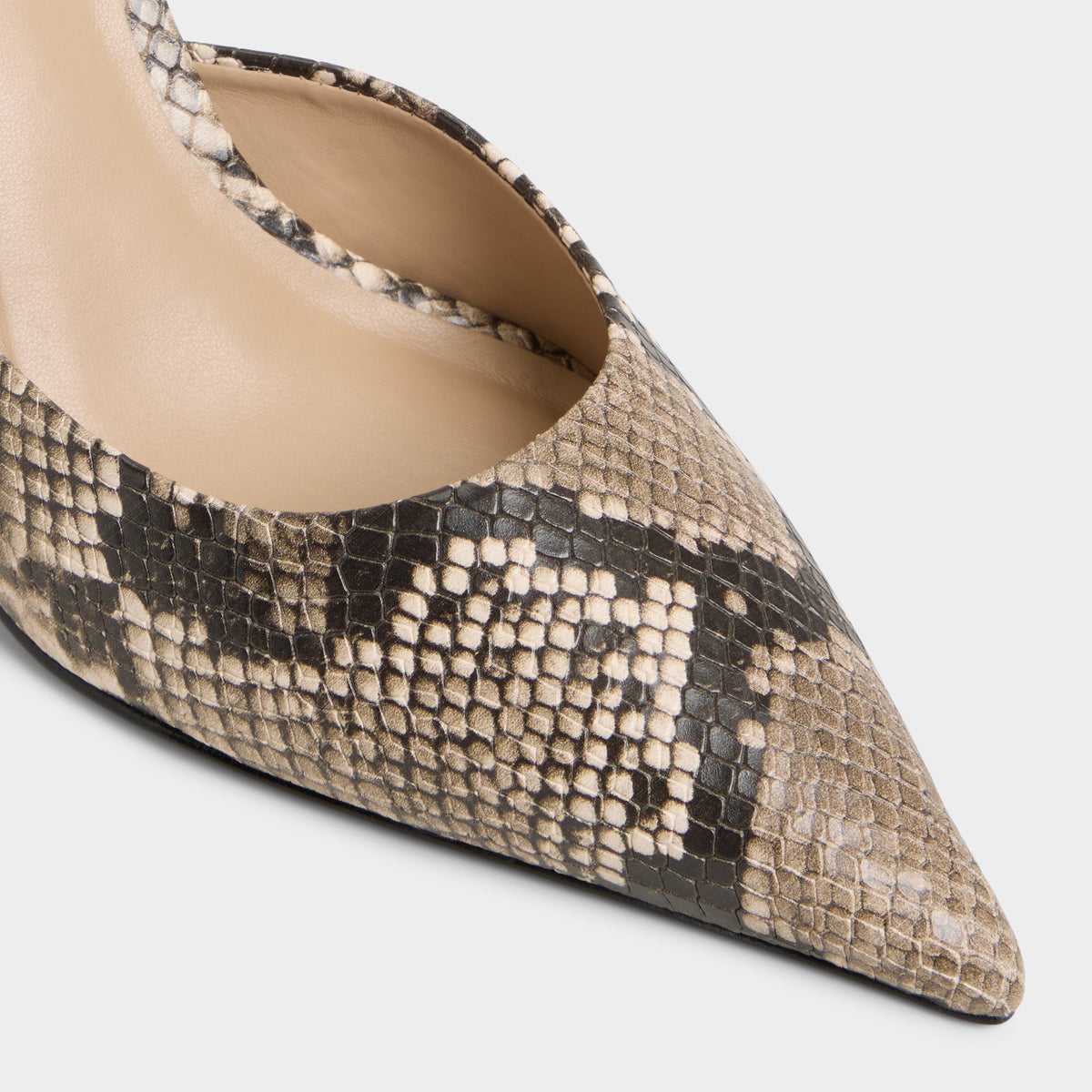 Beatrixy Python Women's Heeled mules - Heeled mule, Stiletto heel | Aldo