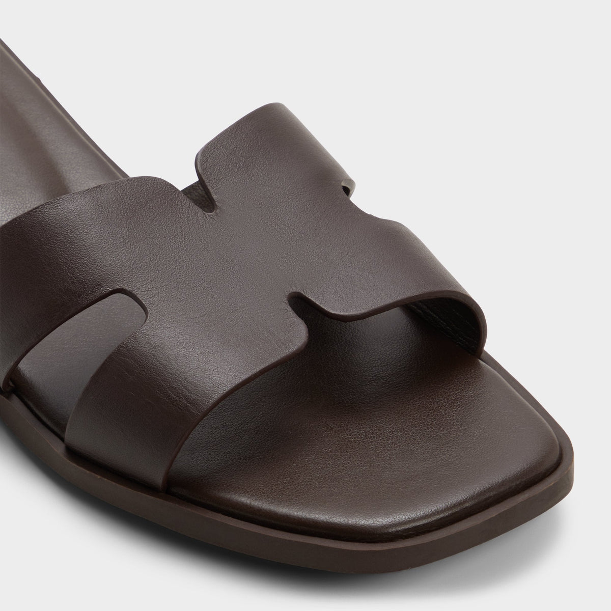 Itsandalb in Dark Brown -  | Aldo