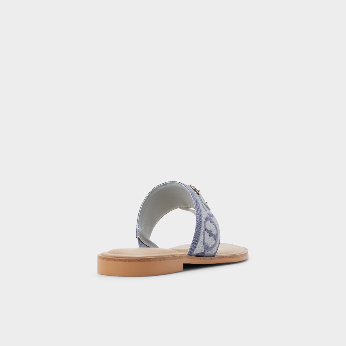 Coralynna in Other Blue - T-strap sandal | Aldo