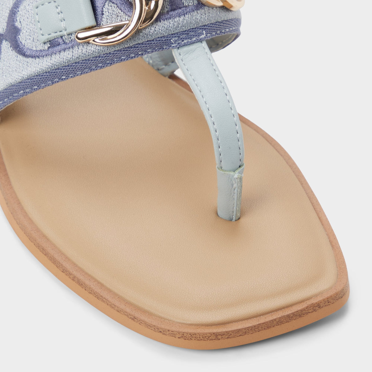 Coralynna in Other Blue - T-strap sandal | Aldo