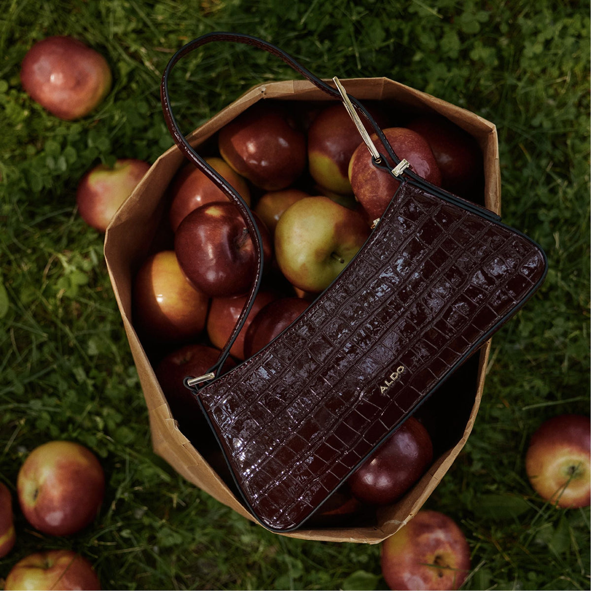 Jabellee in Dark Red - Shoulder bag | Aldo