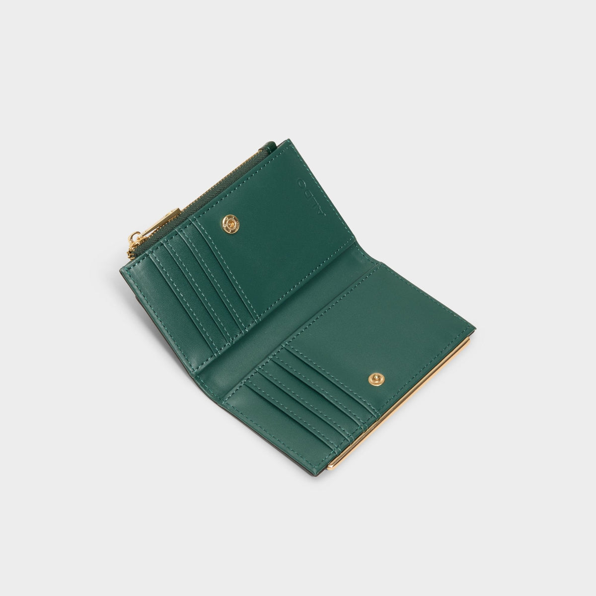 Mereclyaa in Green - Wallet | Aldo