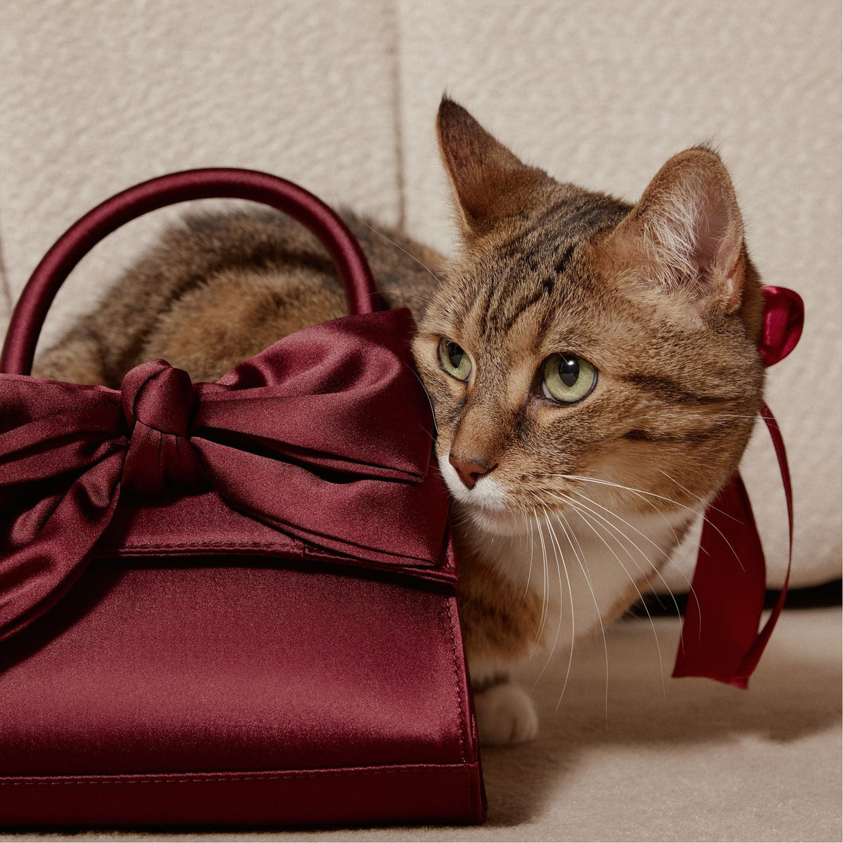 Decadencee in Dark Red - Top handle bag | Aldo