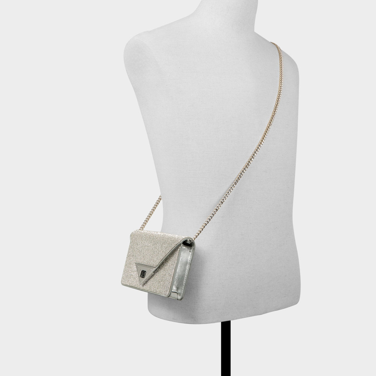 Brimortonblngg in Silver - Wallet | Aldo