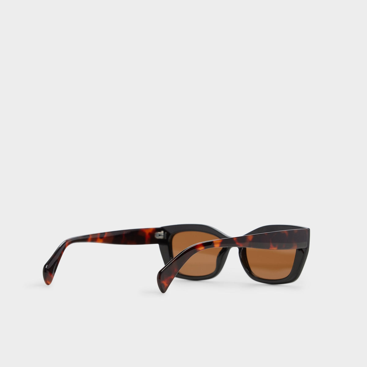 Calaberynx Black Women's Cat eye - Cat eye sunglasses | Aldo