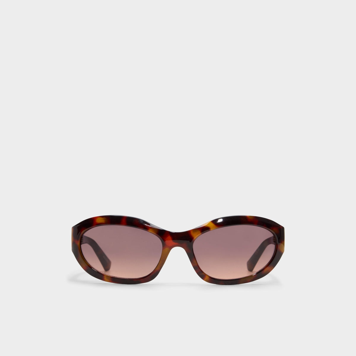 Edien Other Brown Women's Sunglasses - Sunglasses | Aldo