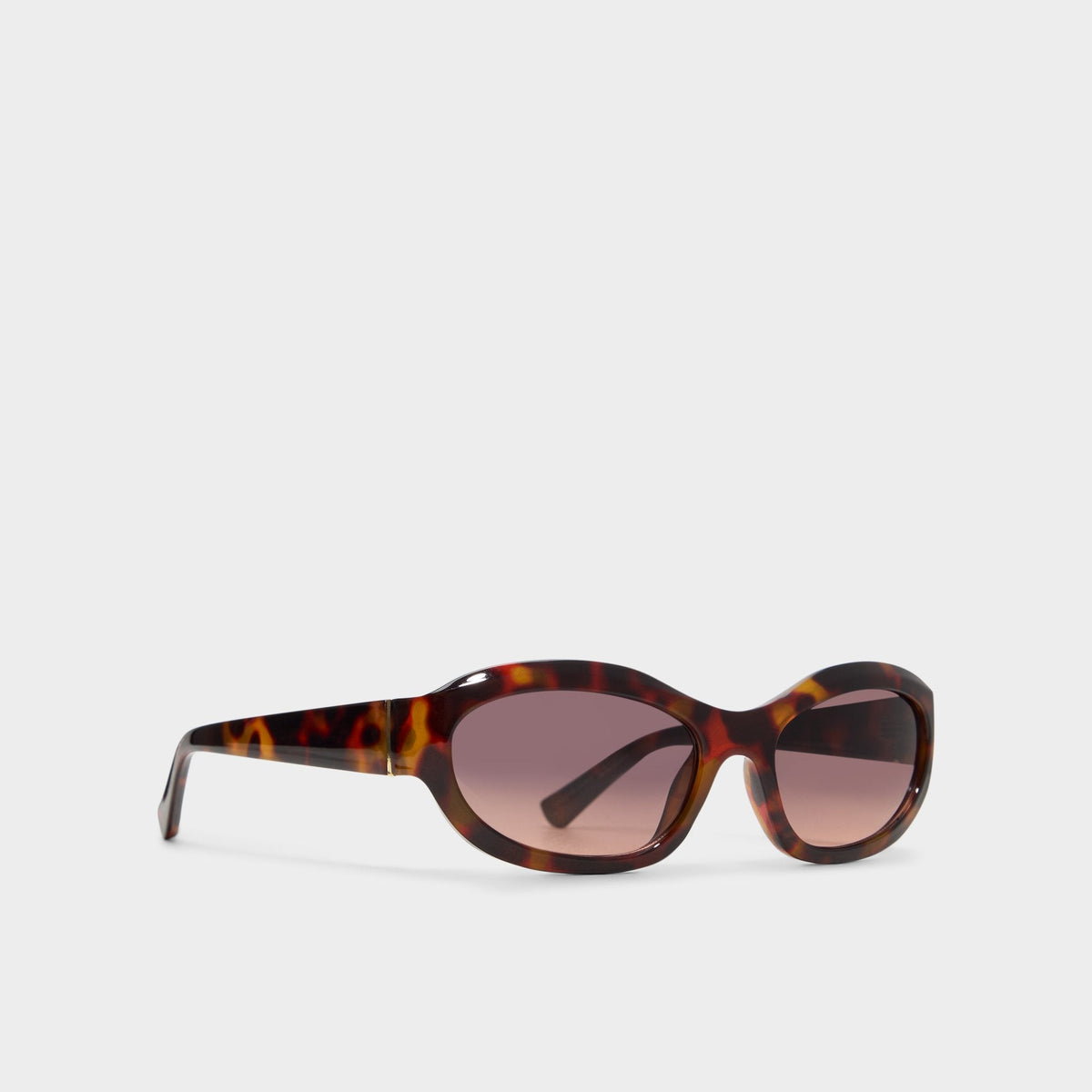 Edien Other Brown Women's Sunglasses - Sunglasses | Aldo