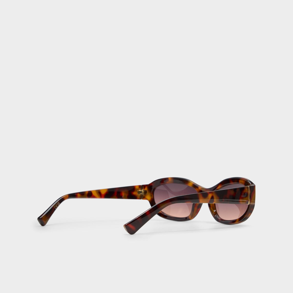 Edien Other Brown Women's Sunglasses - Sunglasses | Aldo