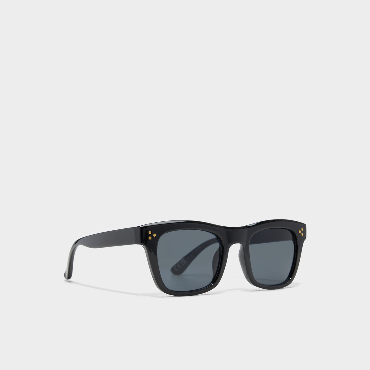 Aliralx Black Women's Sunglasses - Sunglasses | Aldo