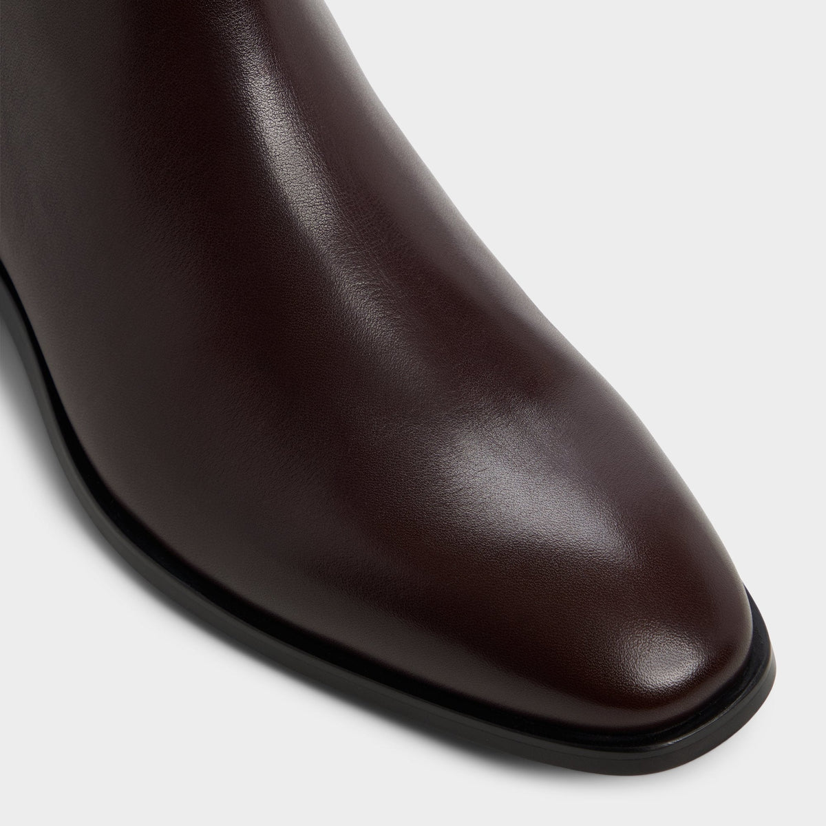 Amur in Bordo - Ankle boot | Aldo
