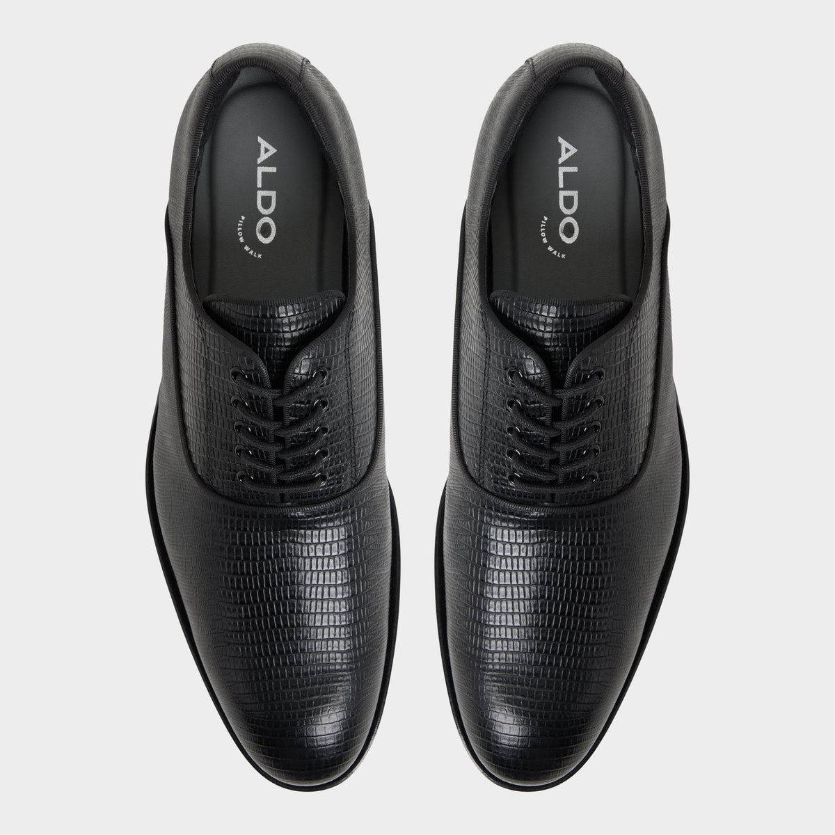 Braz in Other Black 14161936 - Oxford shoe | Aldo
