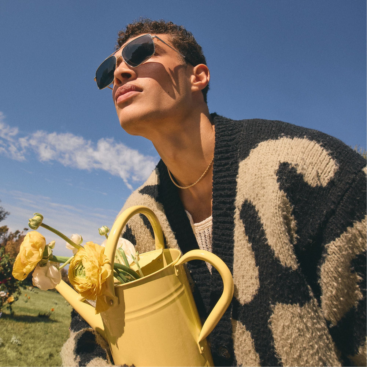 Frelinnorx Silver Men's Aviator - Sunglasses | Aldo