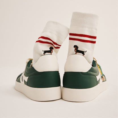 Miilo in Ice - Socks | Aldo