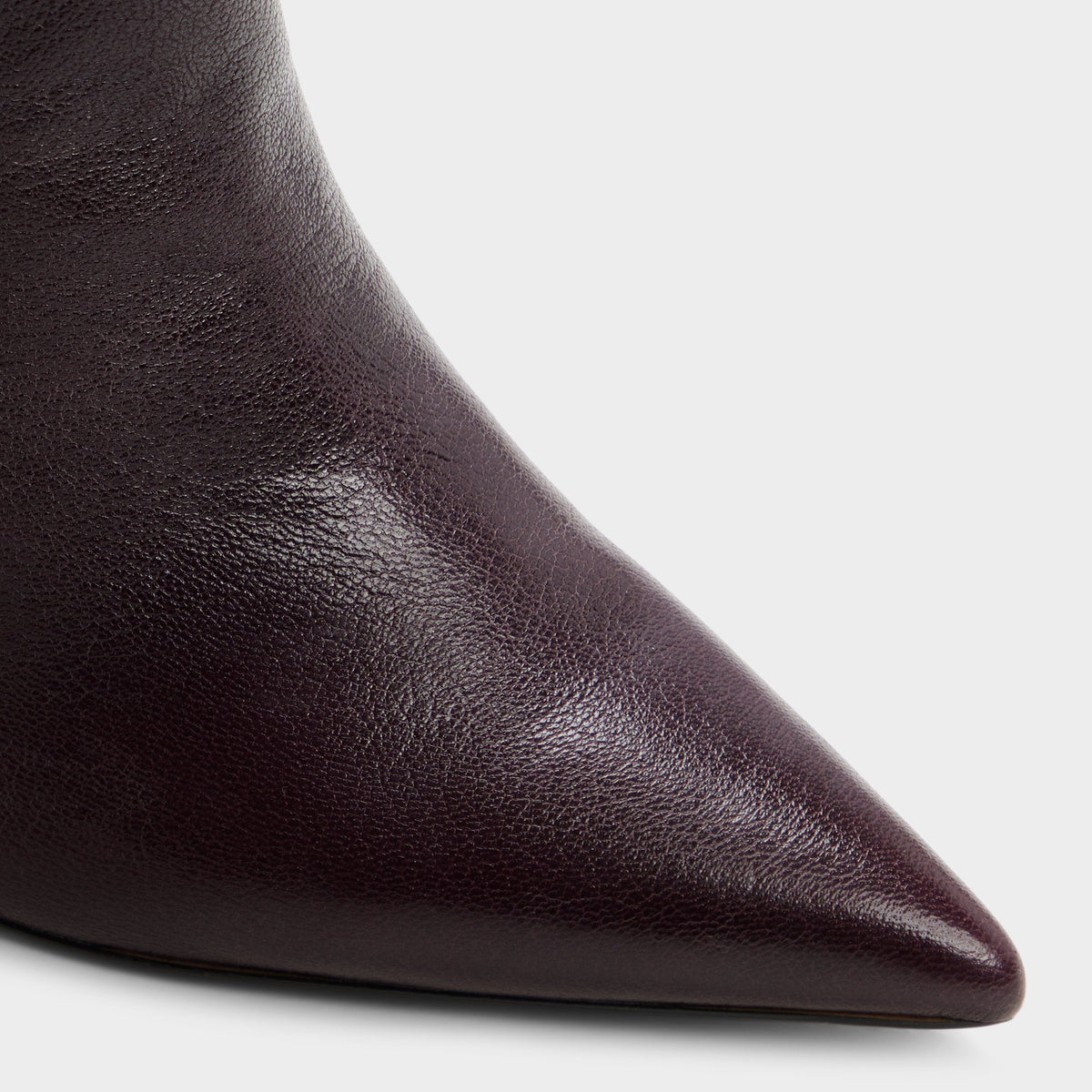 Holiis in Bordo - Knee-high boot, Stiletto heel | Aldo