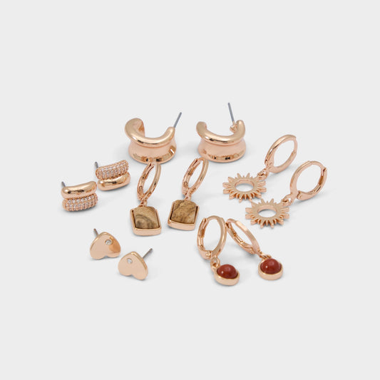 Everlly Other Brown Women's Earrings - Earring set | Aldo